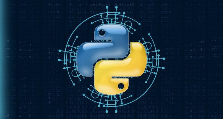 Python Programming: A Step-by-Step Programming Course aryainfographic